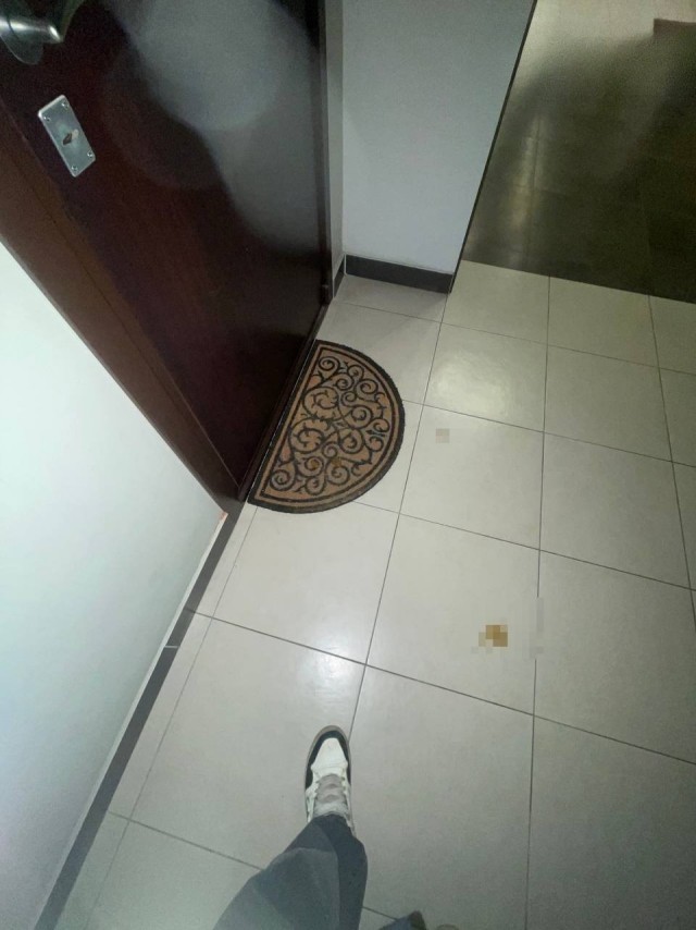В Москве задержали 16-летнего зумера, который за вознаграждение нагадил под дверь Екатерины Мизулиной