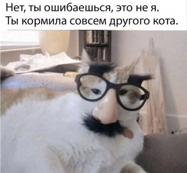 Завалялось тут случайно немного забавных картинок