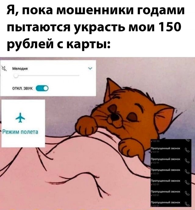 Весёлый полтишок 19.12.24