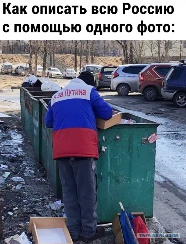 Прямая линия и большая пресс-конференция президента России Путина: онлайн-трансляция