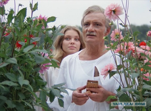 Звезда Альфа Центавра — союз трёх