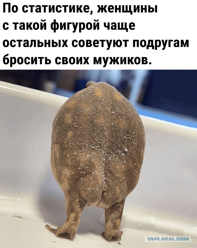 Их борьба