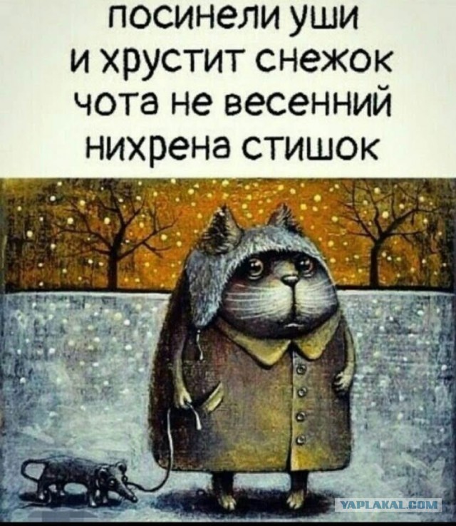 Москву завалило снегом. В столицу вернулась зима из-за циклона «Зион»