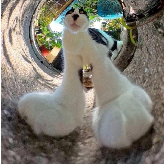 Так себе картинки 28.05.25