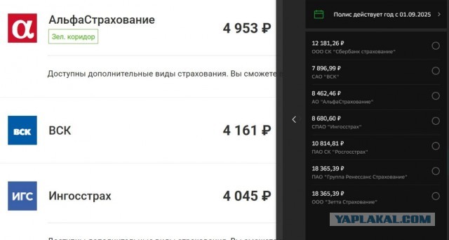 Знакомая девочка-страховщица.