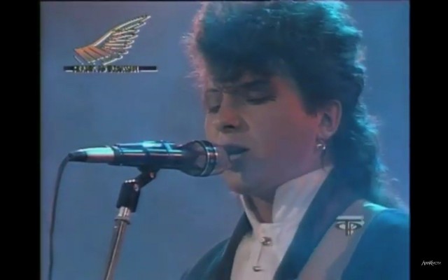 Пластмассовый мир победил