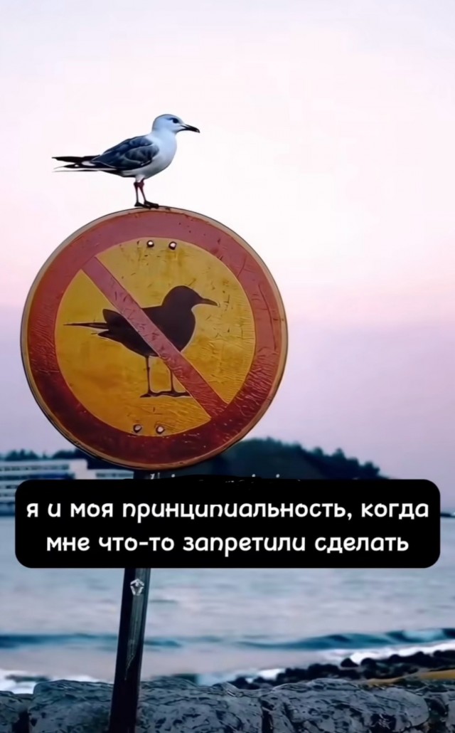 В последнюю осень. Читаем стихи