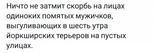 Картинки на кануне Рождества.