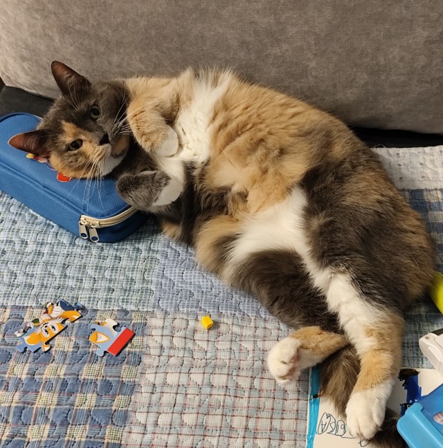 80 г => 3,1 кг (котовторник)