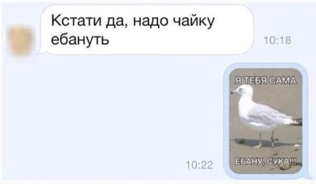 Чайку?