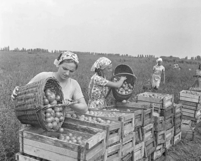 Фотографии из прошлого нашей страны – 139