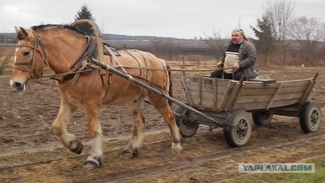 Мишустин назвал радио самым удобным и надежным источником связи