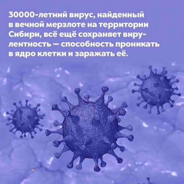 Интересные и короткие факты, на все случаи жизни