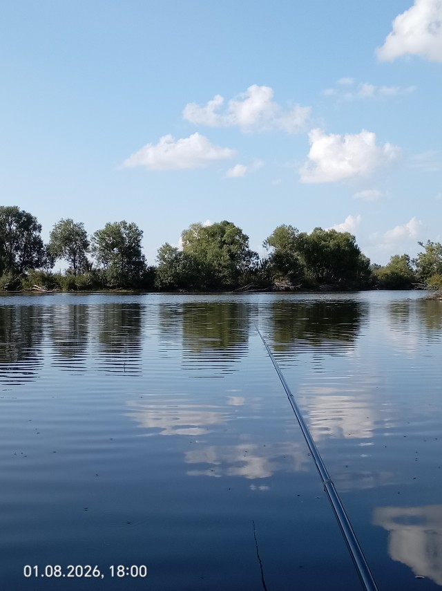 Одно фото