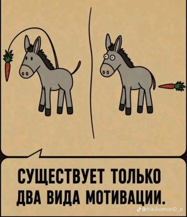 Немного слегка упоротых картинок