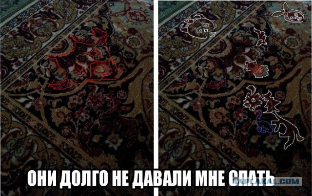 До сих пор ИХ вижу!