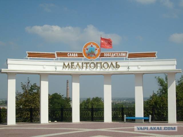 Вот как нужно рисовать на заборах