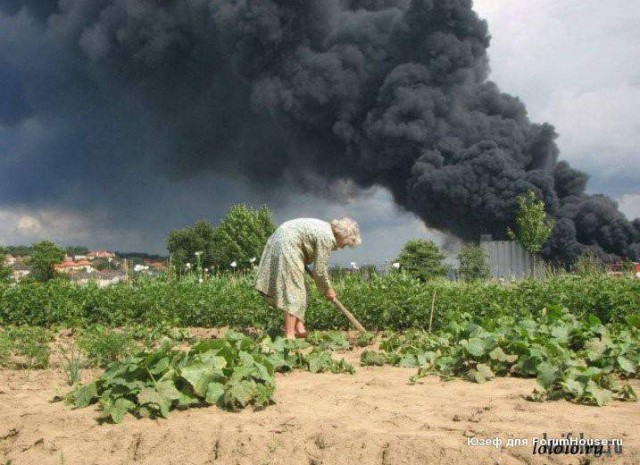 Решил выложить свои приколы