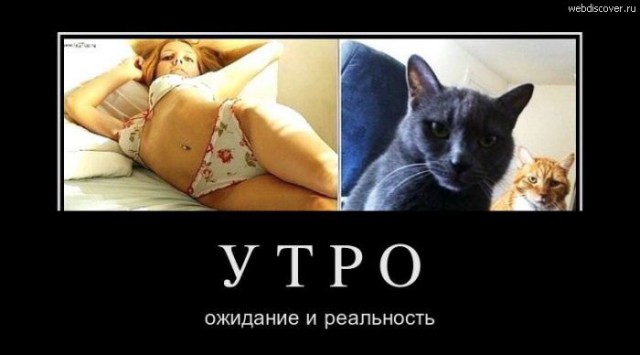 Ну почти...