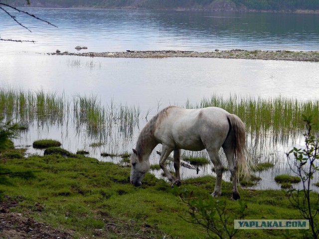Байкал