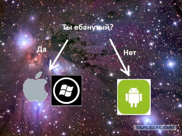 iPhone 6