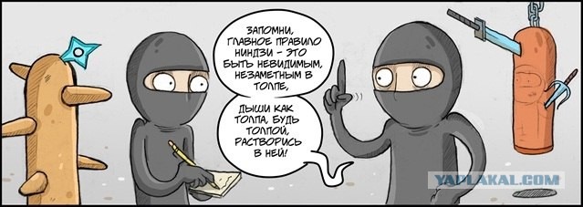 Главное правило ниндзи