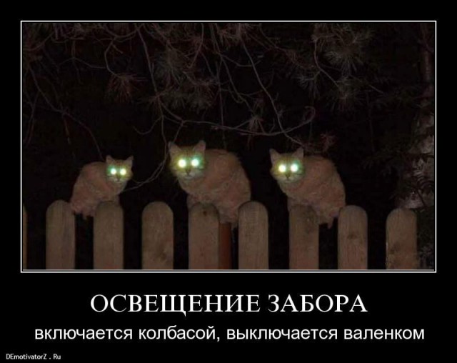 Вышел ночью на даче из дома и