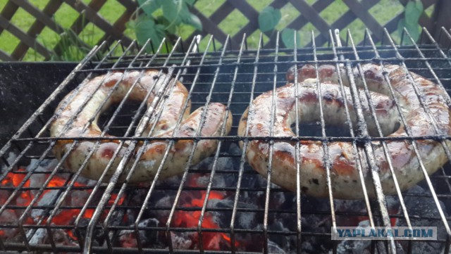 Кухня (кулинарное и околокулинарное общение)