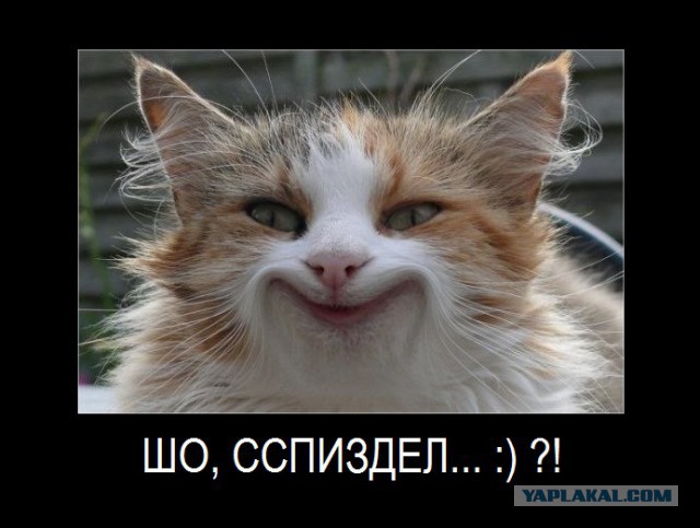 Воин Парашенко