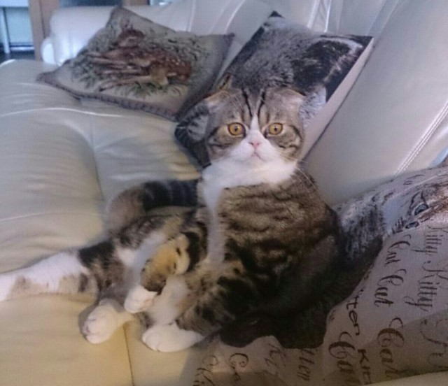 Взгляд
