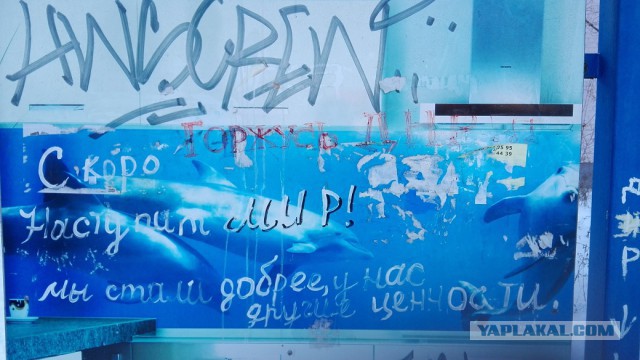 Путешествие из Минска в Донецк.