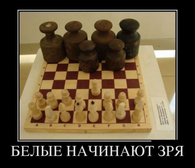 Шахматы - это круто!