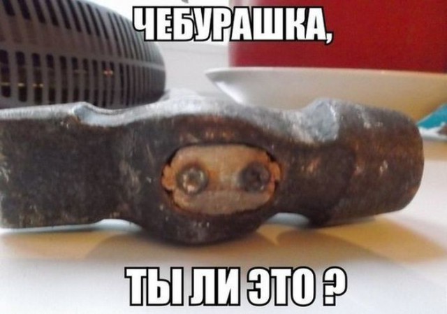 А ведь показалось же!