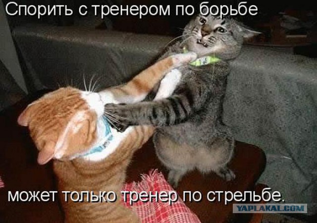 Картинки всякие для поднятия настроения