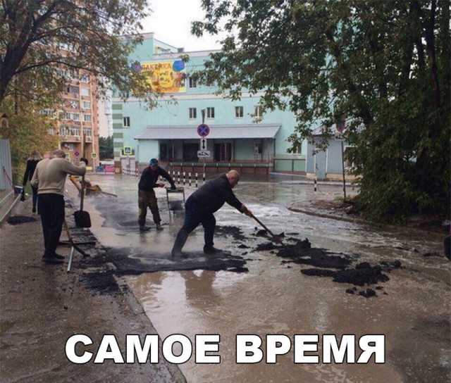 100 картинок для поднятия настроения!