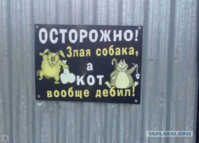 30 объявлений, мимо которых вы просто не сможете пройти