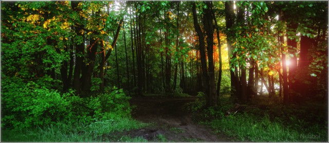 Просто Природа