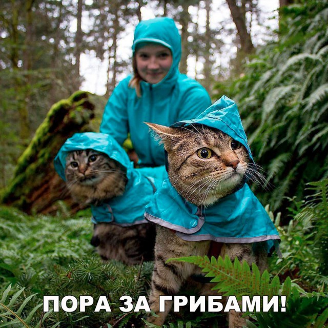 Нестандартный юмор