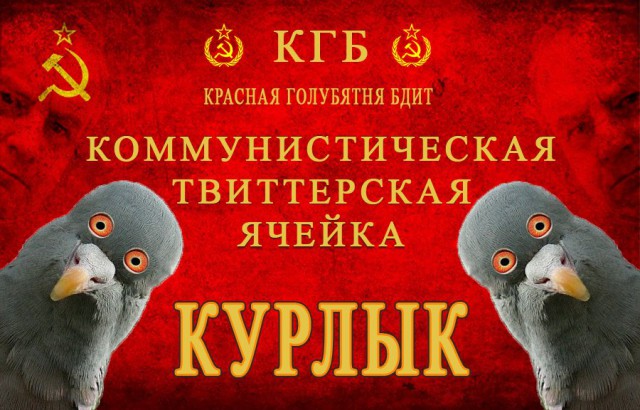 Купчино: нам втирают какую-то дичь