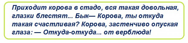 Анекдоты, истории и картинки с надписями