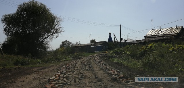 «Мы в город изумрудный идем дорогой трудной…». Фото дня от газеты «Сурская Правда»