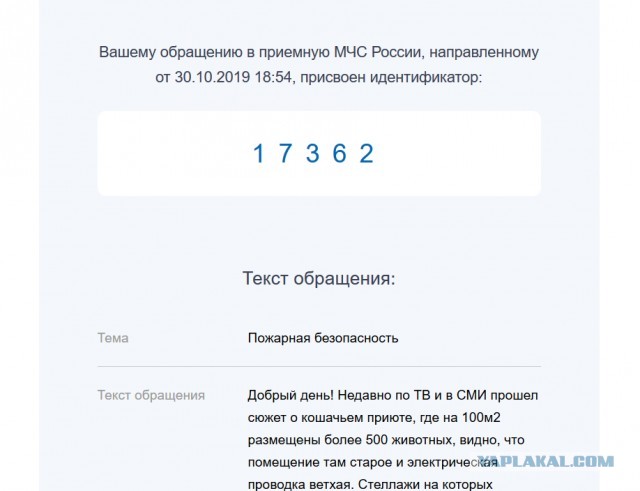 Помогите вернуть кота! Приют "Преданное сердце" украл кота и не отдает!-2