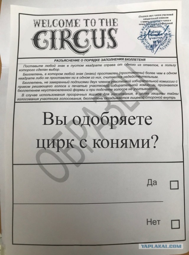 Бюллетень готов к голосованию