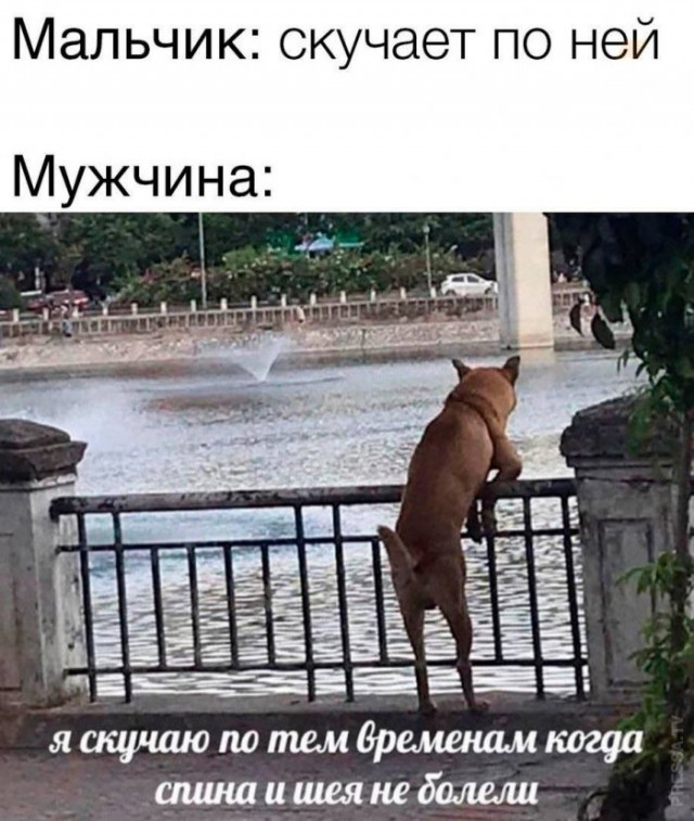 Немного картинок для настроения 29.10.20