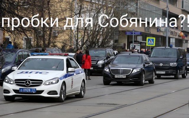 "Человек, который смог": Старый дуб в Кунцево пережил нашествие Наполеона и Гитлера, но не Собянина