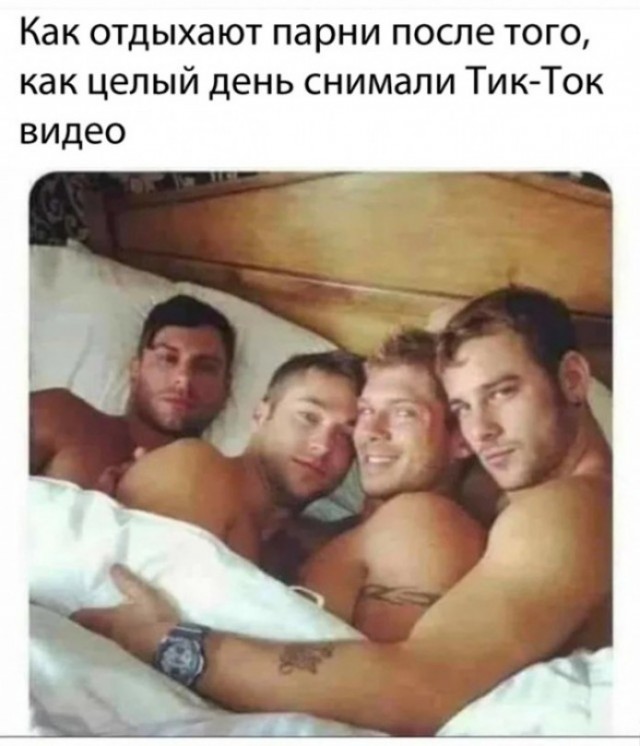 «Морда рыжая, ты что меня обижаешь?»