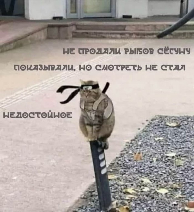 Самураи, которых не было: кто и зачем придумал кодекс Бусидо