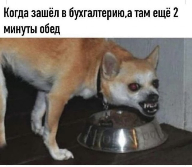 Картинки и мемы, всем прекрасных выходных