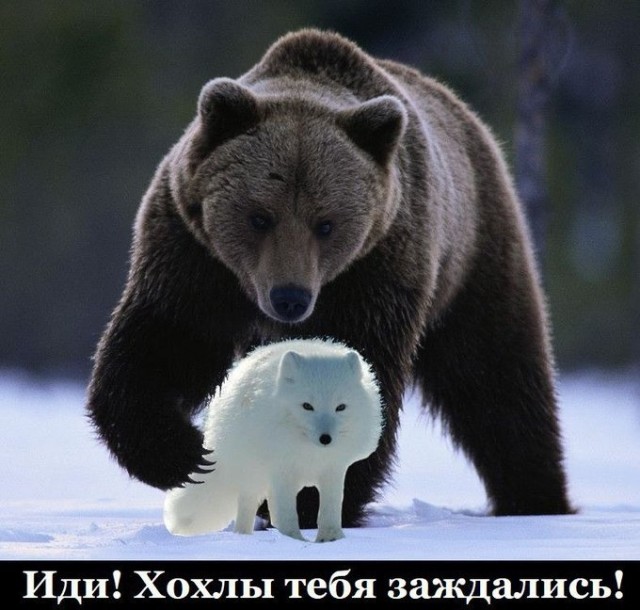 ⚡️ Кибератака на украинские банки