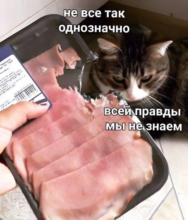 Так себе картинки 06.04.22